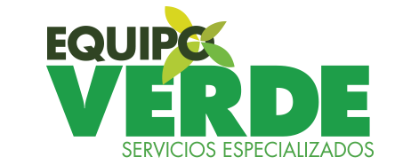 Equipo Verde