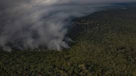 ¿Por qué sigue ardiendo el bosque de Brasil?