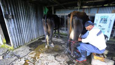 Pequeños productores de leche no están obligados a emitir facturas electrónicas, pero sí a recibirlas