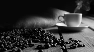 Café, cacao y vanguardia