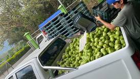 Exportadores toman 20 toneladas de cosechas que se iban a perder y las donan a familias sin ingresos por coronavirus