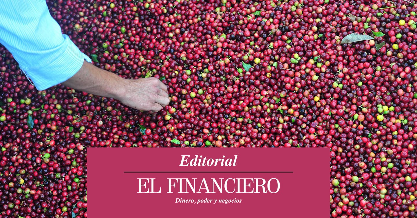 Cada día menos granos de oro | Editorial El Financiero | Rafael Pacheco Granados