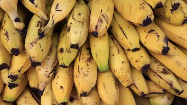 Productores antilleses presentan en París un banano “revolucionario” sin pesticidas