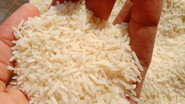 El incremento en los precios del arroz anticipa riesgos alimentarios asociados al cambio climático