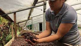 Estos son los mejores cafés de Costa Rica de acuerdo a la Taza de la Excelencia 2022 