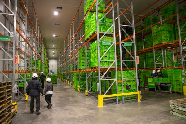 Walmart Costa Rica inauguró en enero su Centro de Distribución de Productos Agrícolas Hortifrutti, en Coris de Cartago. La empresa afirma que su plan de expansión en el país para el 2020 se mantiene. Fotografía: Alejandro Gamboa Madrigal