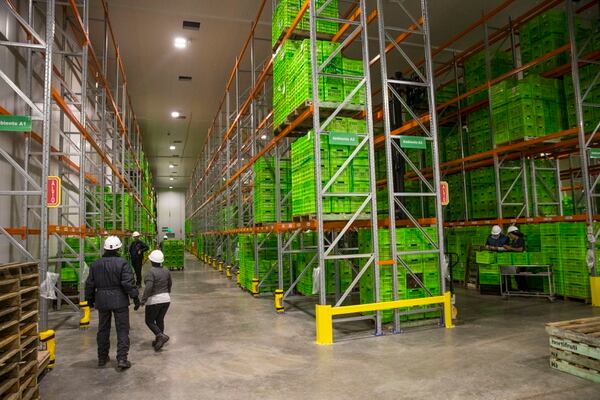 Resiliencia en la pandemia: Así reaccionó Walmart a la crisis por