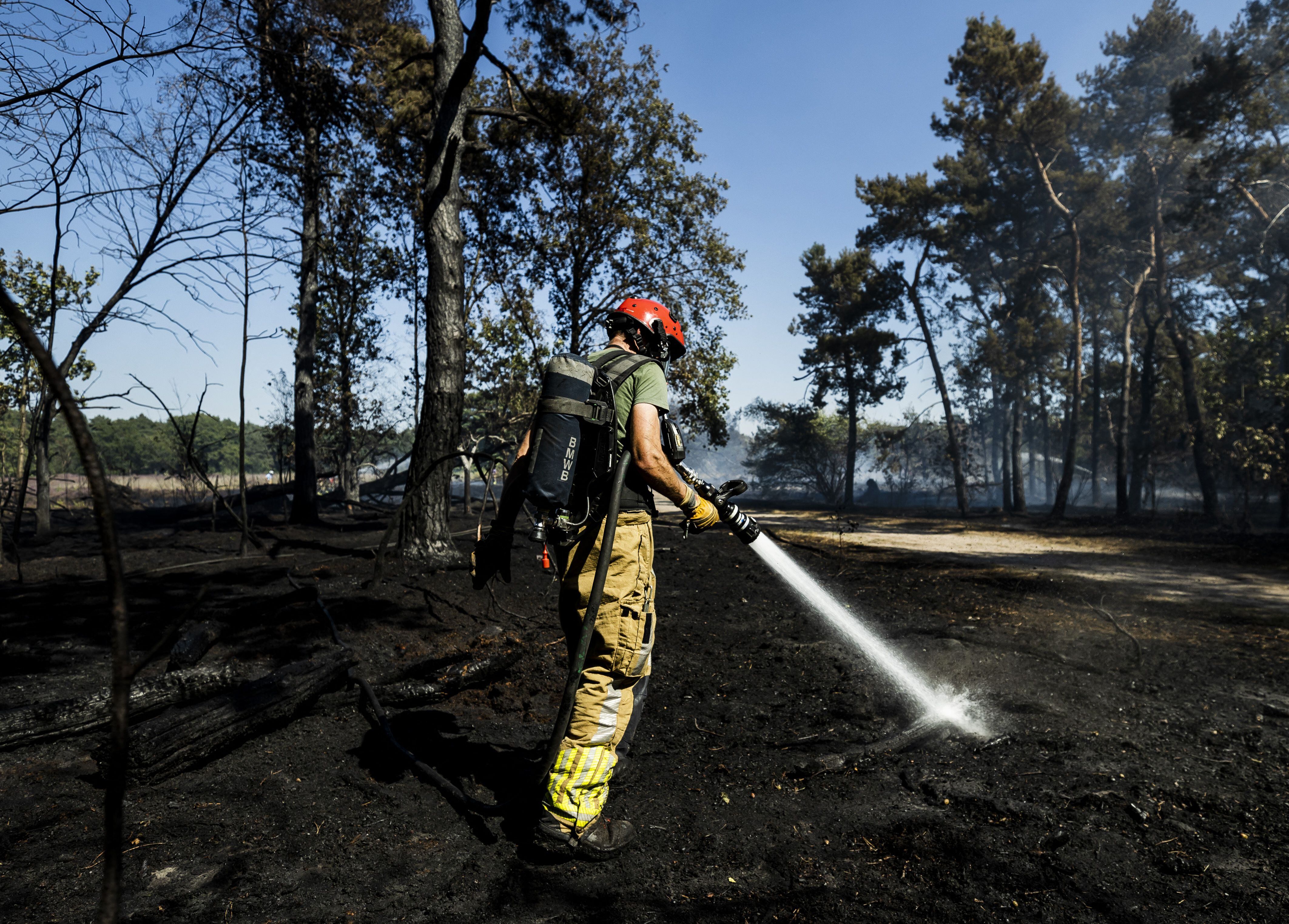 La canícula que afecta el hemisferio norte continuaba este martes con incendios activos en Grecia y Estados Unidos. Foto: AFP