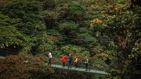 Los llamaban locos por instalar puentes colgantes en Monteverde: ahora siguen innovando con Treetopia