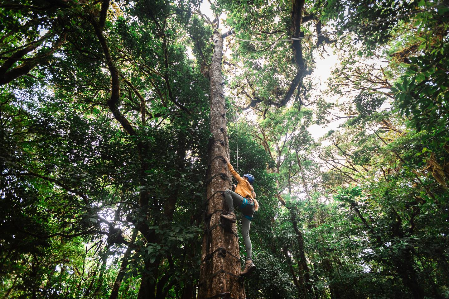 Treetopia, Monteverde, familia Valverde