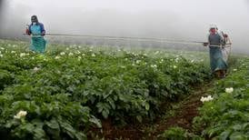 Gobierno modifica decreto sobre registro de agroquímicos