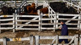 La producción de carne en España enciende el debate político