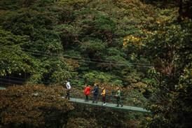 Los llamaban locos por instalar puentes colgantes en Monteverde: ahora siguen innovando con Treetopia