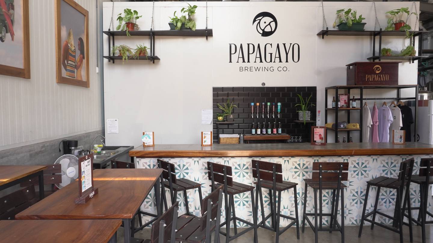 Papagayo Brewing, cerveceria artesanal, Guanacaste