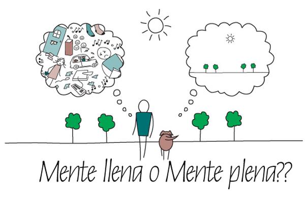 El Valor De La Paz Mental El Financiero Evaluaciones de paz mental (23 comentarios). el valor de la paz mental el financiero