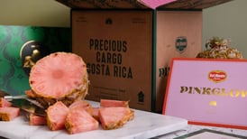 ¿Ha probado la piña rosa? Un manjar exclusivo de Costa Rica que cuesta hasta $40 en el mercado extranjero