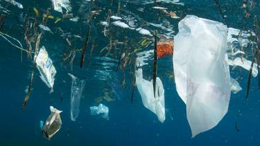 La contaminación con plástico ahoga a los océanos desde 2005