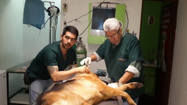 Dr. Jimmy: un negocio familiar que se reorganiza para convertirse en