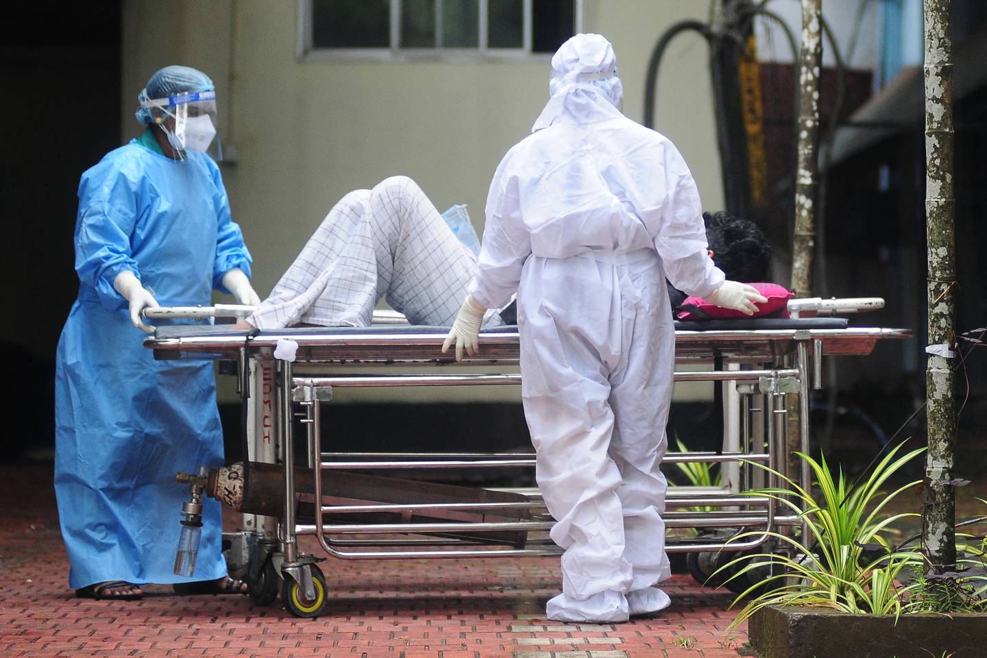 Esto es lo que se sabe sobre la epidemia de virus Nipah en India | AFP