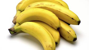 ¿Por qué decreció la exportación de banano en el primer trimestre 2022? El conflicto en Ucrania es uno de los motivos