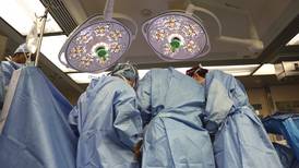 Cirujanos trasplantan por primera vez un riñón de cerdo a un humano vivo