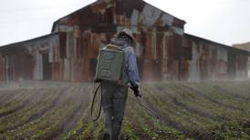 La producción agropecuaria en vaivén y la ocupación rural a la baja