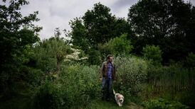 Cambio climático genera alertas y por eso en Francia idearon un bosque comestible para salvar el planeta