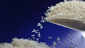EF Explica: ¿Cómo se fija el precio del arroz en Costa Rica y por qué hay tensiones entre productores y Gobierno? 