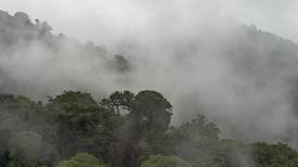 El cambio climático disipa el bosque nuboso de Monteverde en Costa Rica