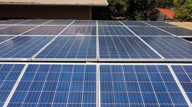 Pyme agrícola pasó de pagar ¢160.000 a ¢20.000 en electricidad con paneles solares