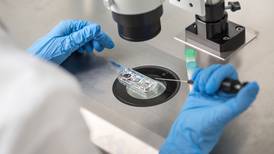 “Embriones sintéticos” de células madre, el nuevo avance científico que genera polémica