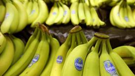 Chiquita Brands despidió cerca de 175 trabajadores 