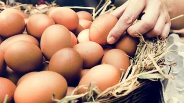 ¿Qué es la ‘eggflation’ y por qué el cartón de huevos está más caro? 
