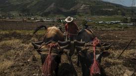 Escasez de combustible frena la agricultura en Venezuela