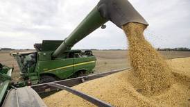 El crecimiento de importaciones de cereales en China hace explotar los precios en 2020