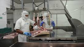 Apetito por las carnes en mercado chino abre ventana de oportunidad para Costa Rica