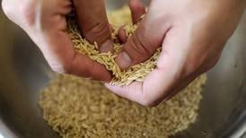 Coprocom insiste en liberalizar precio del arroz y pide respuestas al Gobierno por mantener el esquema