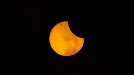 Asombro, atmósfera y reacción de los animales: ¿qué esperan aprender los científicos del eclipse total en Estados Unidos?