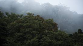 Monteverde tejió una extensa historia de conservación a partir de ¢1 y 328 hectáreas