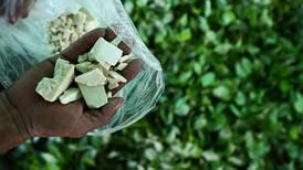 Ecuador se convierte en un nuevo jugador en el mercado global del narcotráfico