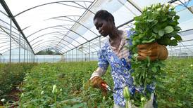 Igualdad financiera para las agricultoras africanas