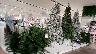 ¿Navidad desde agosto? Vea cuáles comercios ya anuncian y venden artículos navideños