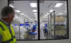 De la cosecha al chip: Informe de la OCDE destaca la “madurez técnica” del modelo exportador de Costa Rica