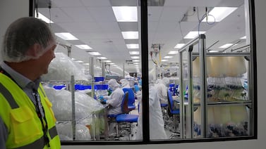 De la cosecha al chip: Informe de la OCDE destaca la “madurez técnica” del modelo exportador de Costa Rica