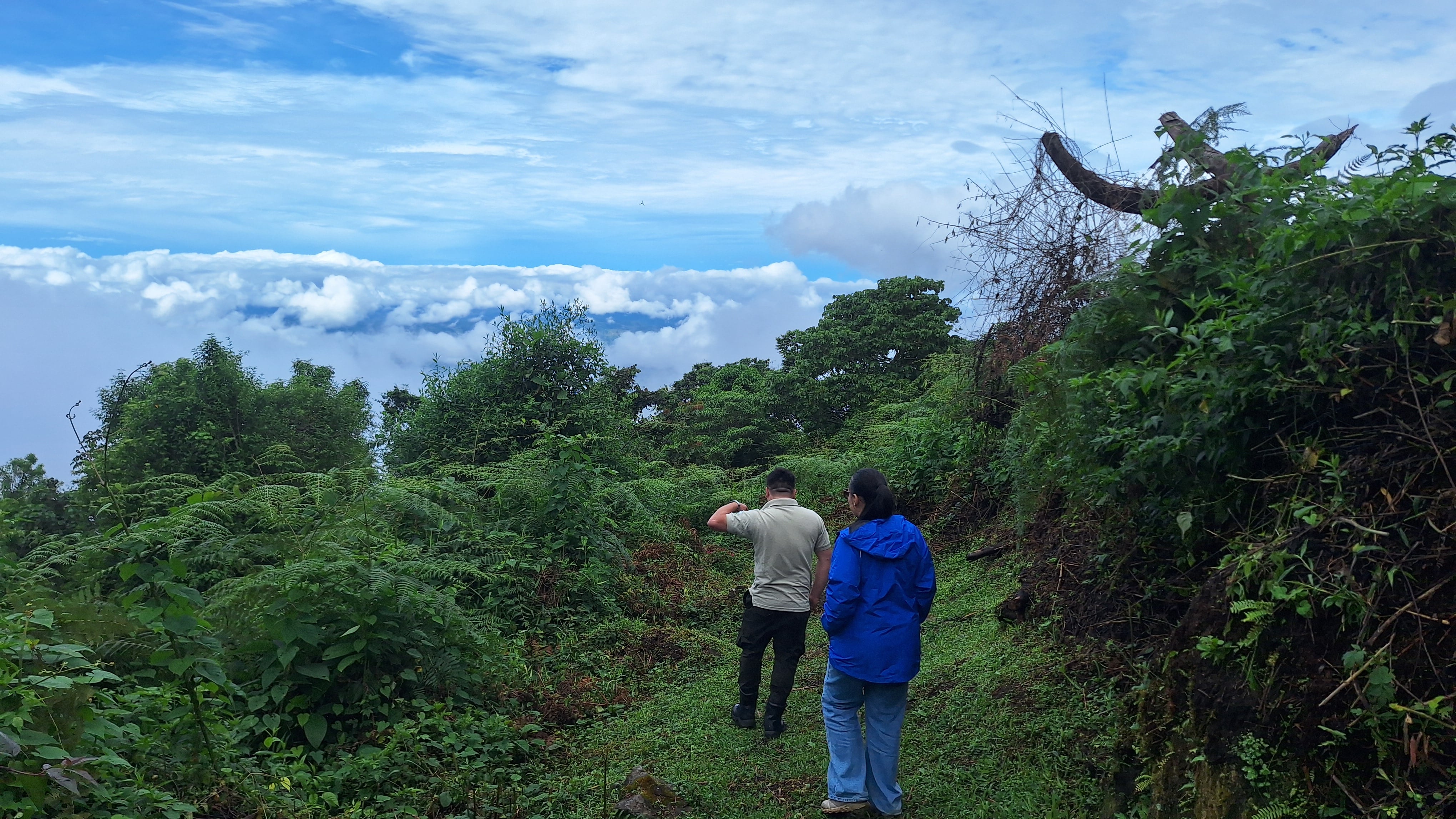 Panorámica del Parque Internacional La Amistad (PILA)