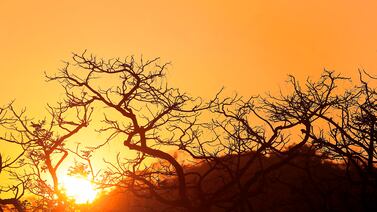 Un mundo más caliente: la ONU ve probable que temperatura supere la meta de 1,5°C antes del 2028