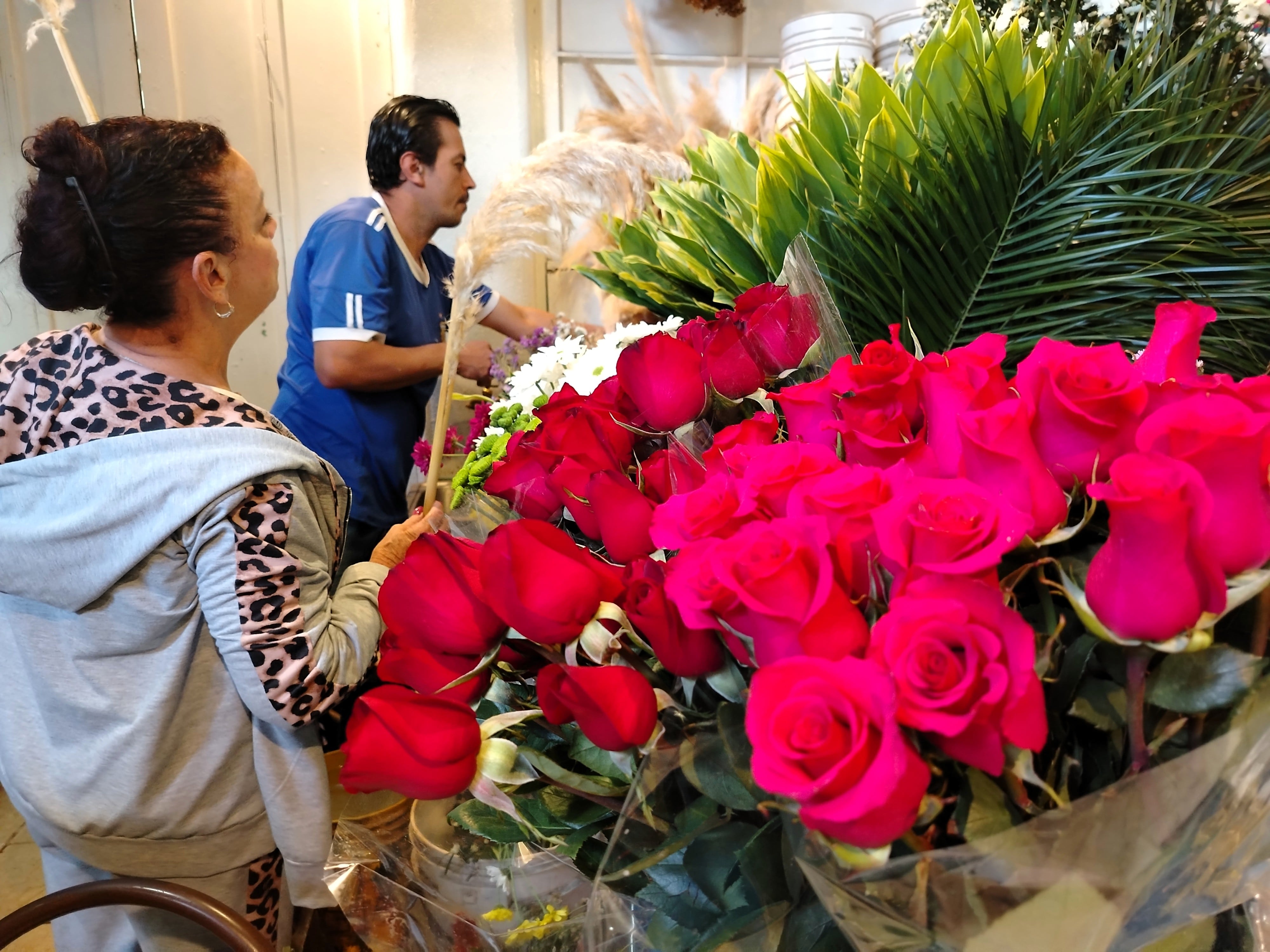 Floristerías San José