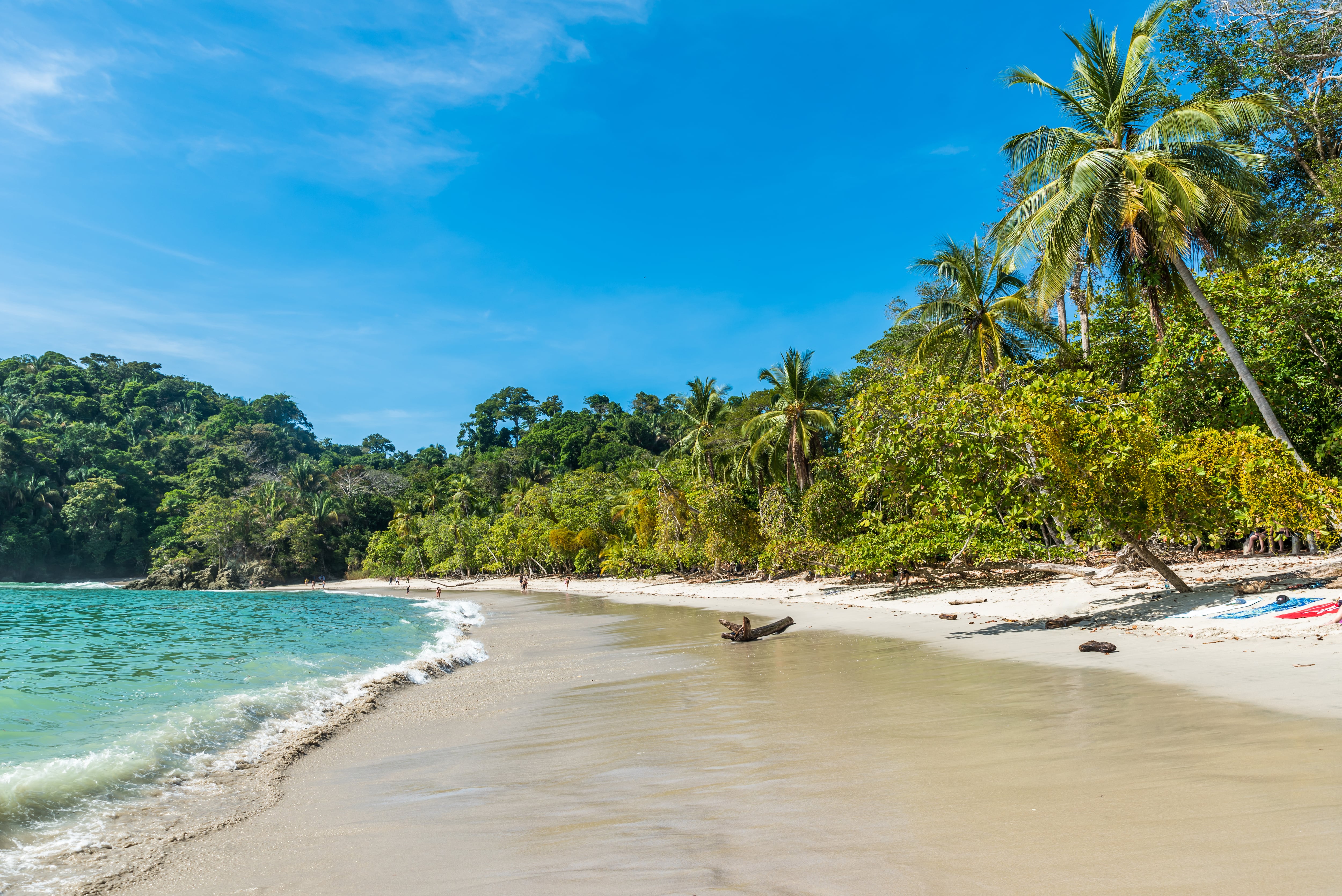 Una playa de arena dorada rodeada de vegetación exuberante y palmeras bajo un cielo despejado en Costa Rica, ideal para las vacaciones de Semana Santa 2025.