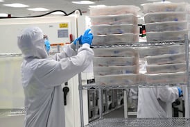 Apreciación del colón frena la inversión y el empleo en las zonas francas de Costa Rica, indica encuesta de la Cámara de Industrias