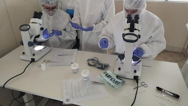 Aproveche estas becas que sí lo ponen a trabajar rápido y sin pagar un cinco